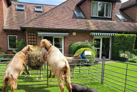 Charity fundraiser set to be fun filled afternoon!