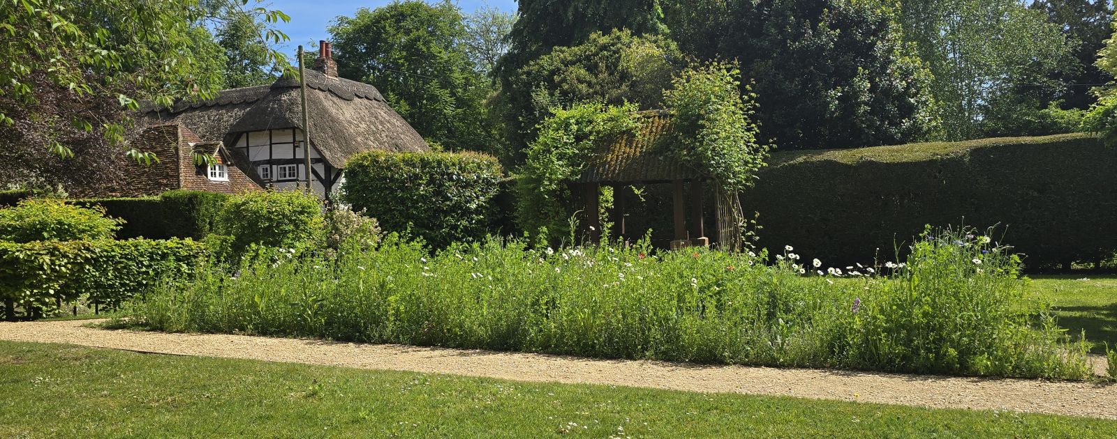 Wildflower Bed