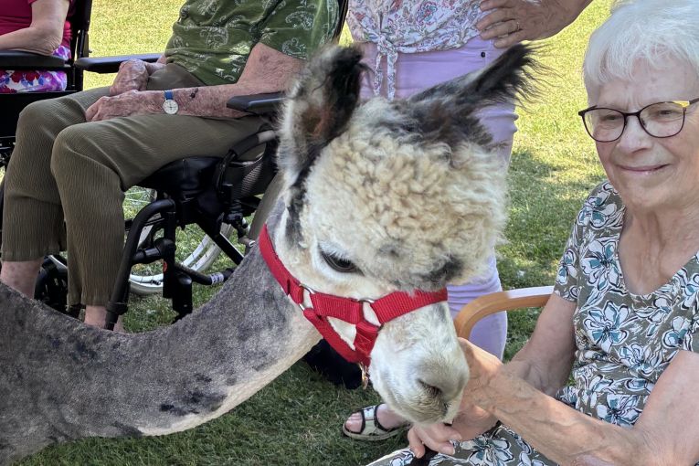Alpacas bring joy to residents and local families