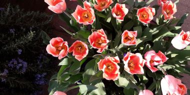 How to arrange respite care in Winchester?