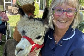 Alpacas bring joy to residents and local families
