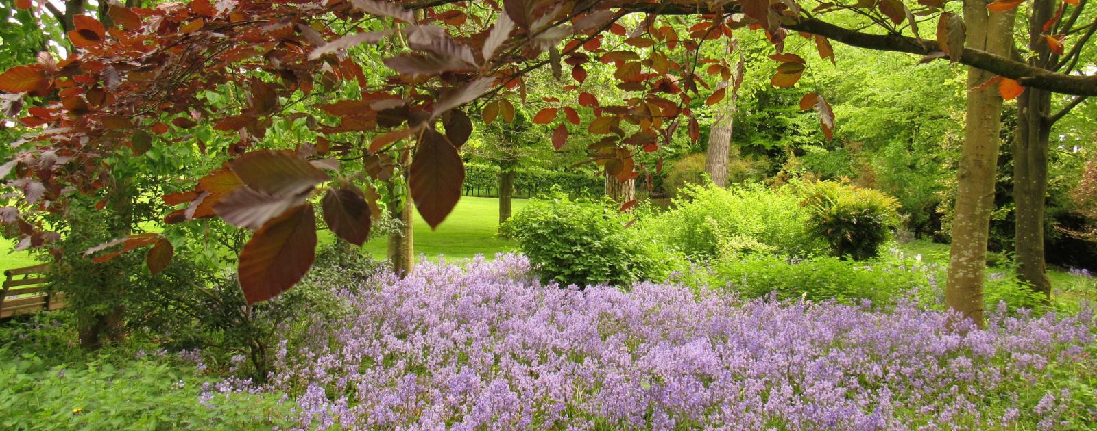 Palliative care vs end of life care – understanding the difference &nbsp; 