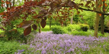 Palliative care vs end of life care – understanding the difference &nbsp; 