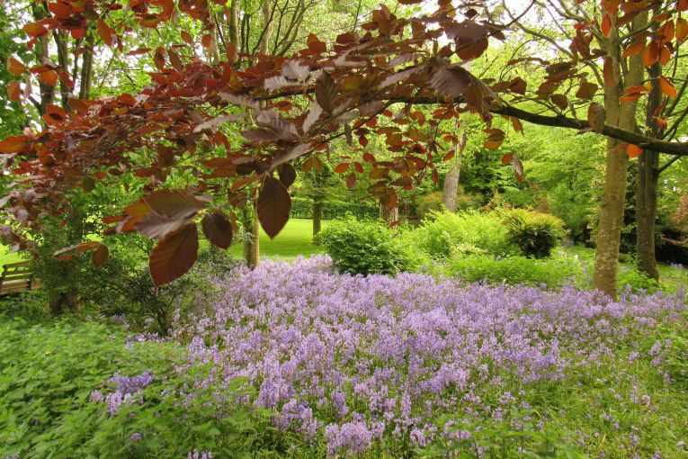 Palliative care vs end of life care – understanding the difference &nbsp; 