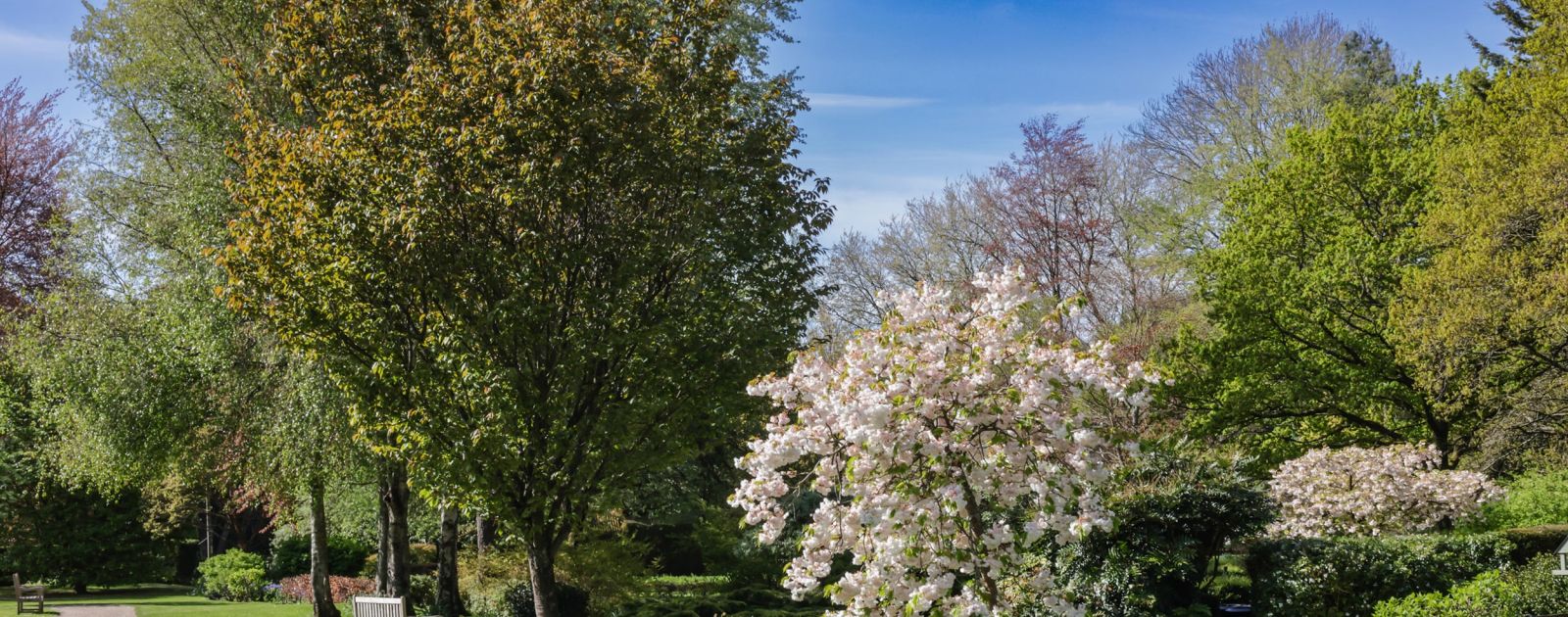 What medical support should a nursing home provide?