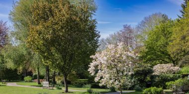 What medical support should a nursing home provide?