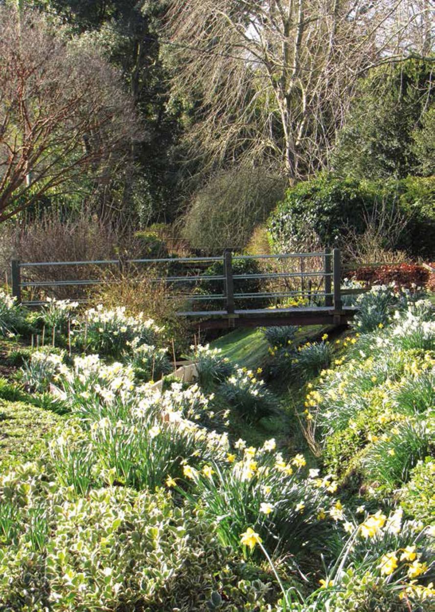 Photo Gallery The Dower House (Care Home, Winchester)