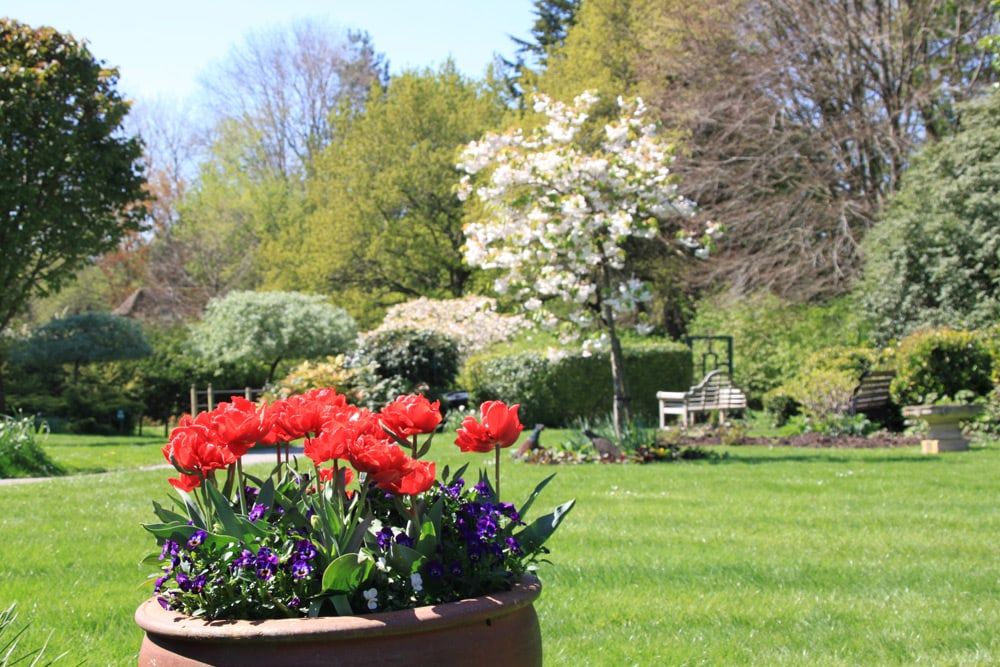 Photo Gallery The Dower House (Care Home, Winchester)