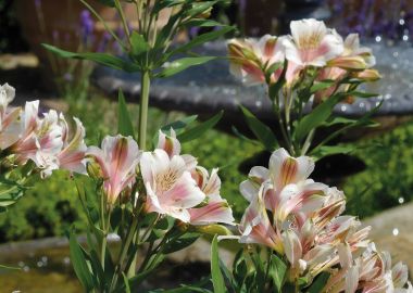 Nursing Care (Winchester)