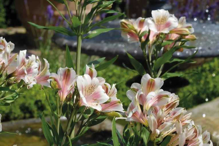 Nursing Care (Winchester)