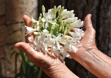 Palliative Care (Winchester)