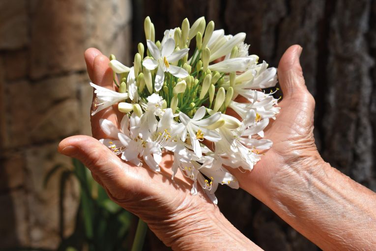 Palliative Care (Winchester)